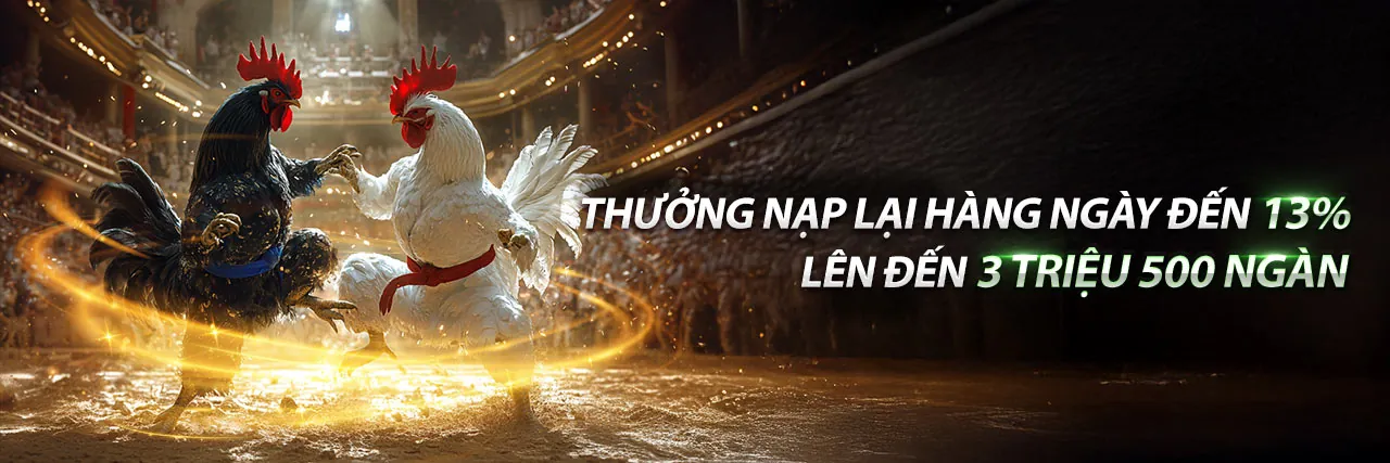Đá Gà Thomo Trực Tiếp 26/12/2022